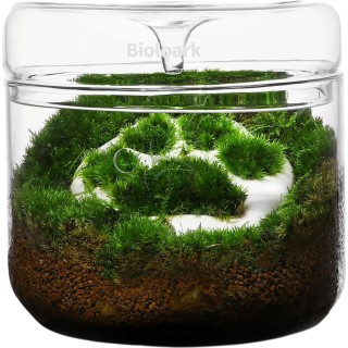 Bioloark Luji Glass Cup MY-120 - 1 Stk