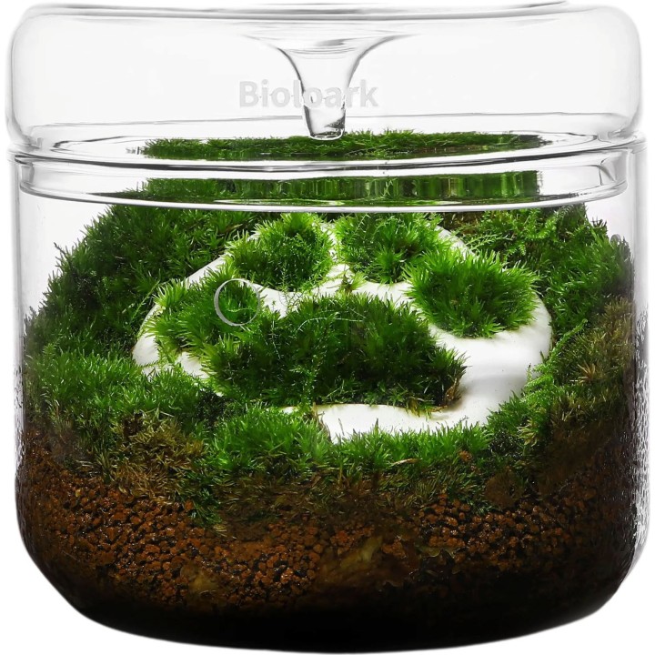 Bioloark Luji Glass Cup MY-120 - 1 Stk