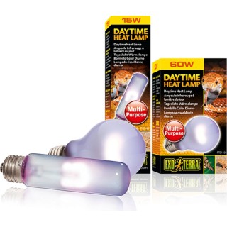 Exo Terra Day Glo SG - A19/60 W