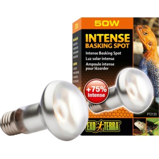 Exo Terra Intense Basking Spot - R20/50W