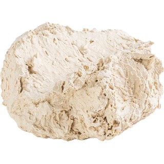 ARKA Riffkeramik Muschelhalter - S