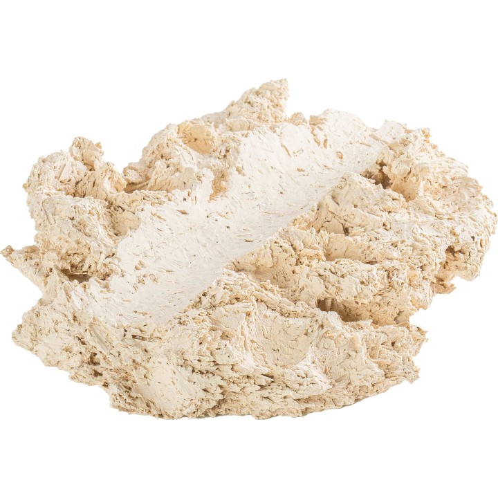 ARKA Riffkeramik Muschelhalter - L