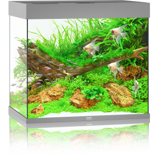 Juwel Lido 200 LED Aquarium - grau