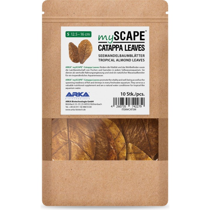 ARKA Catappa Leaves - S