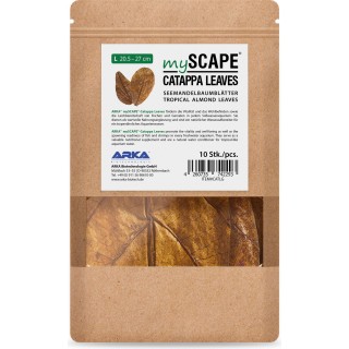 ARKA Catappa Leaves - L