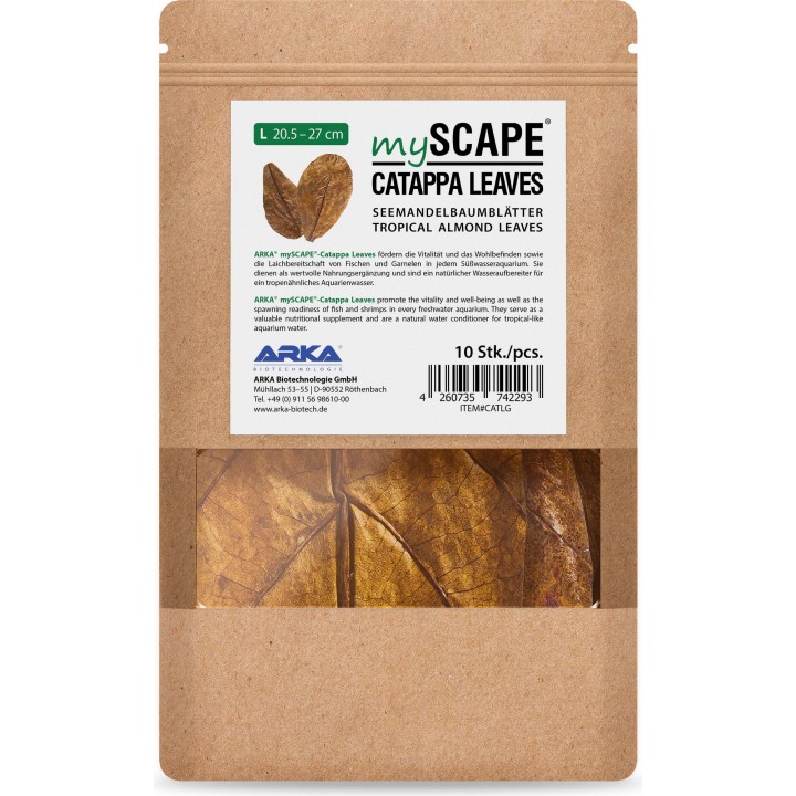 ARKA Catappa Leaves - L