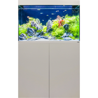 Amtra ALUX 220 LED Kombination Weiß - 1 Set