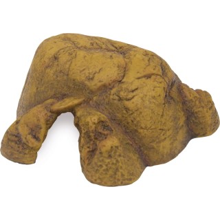 Exo Terra Reptile Cave - M