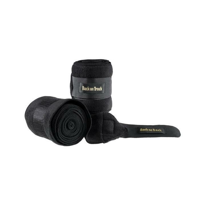 Streifen Back on Track