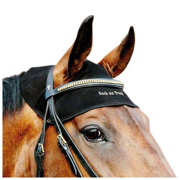 Nackenschutz Back on Track