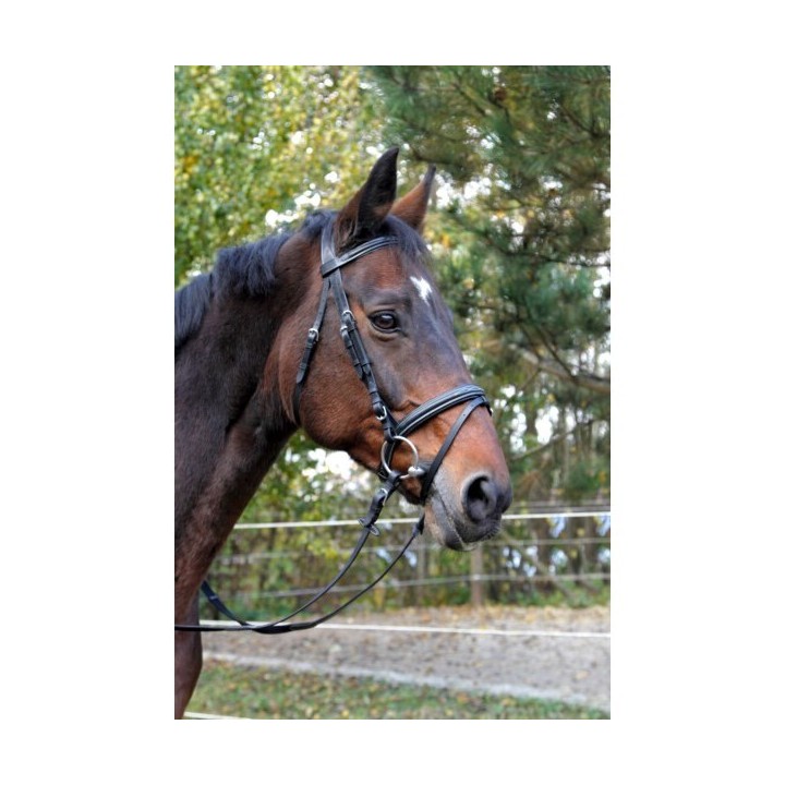 Trense classic Kerbl