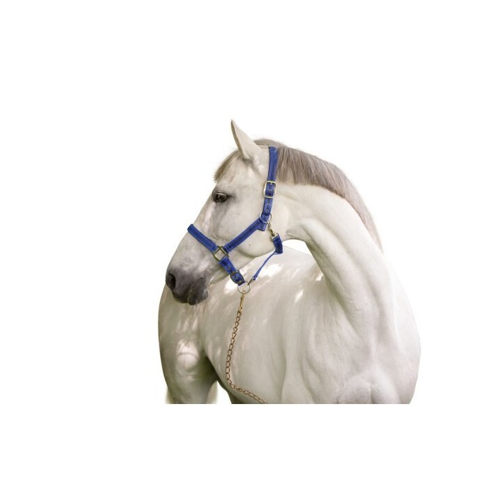 Cob-Halfter 2 Einstellungen Kerbl mustang