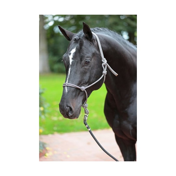 Ethologisches Halfter cob Kerbl