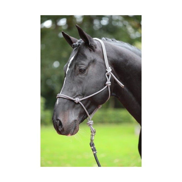 Ethologisches Halfter full Kerbl