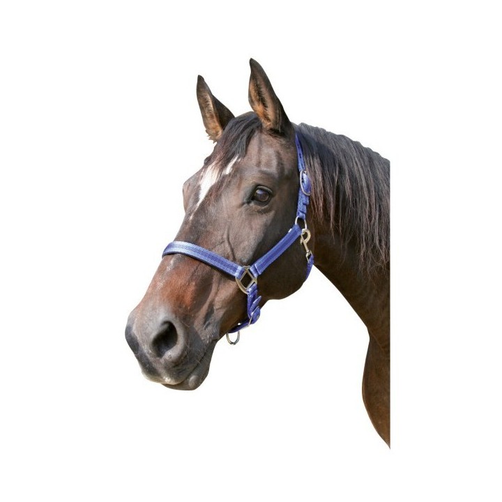 Halfter Pony 2 Einstellungen Kerbl mustang