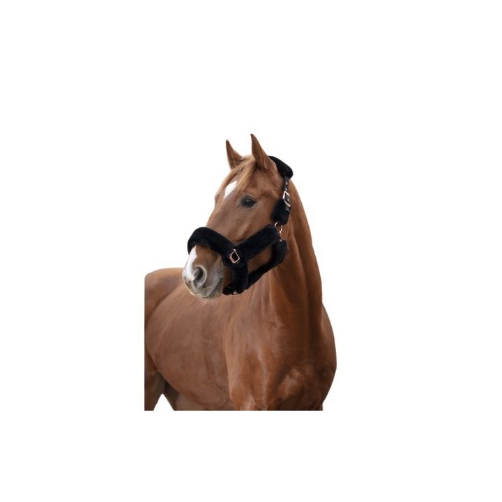 Gepolstertes Halfter Equithème Teddy Rose gold