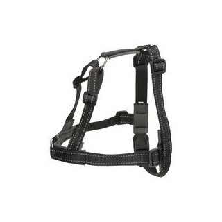 Geh-Bei-Fuß Trainingsgeschirr