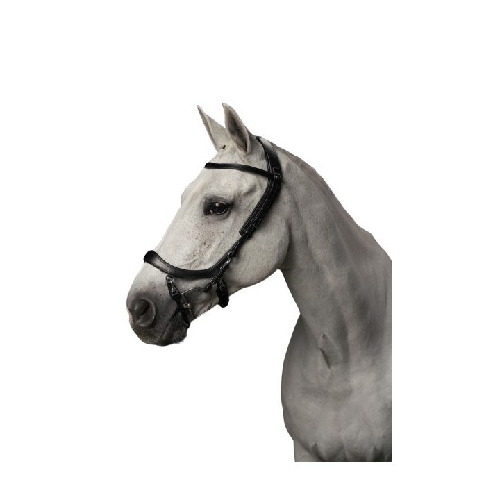 Zaumzeug Reiten Presteq Faysport