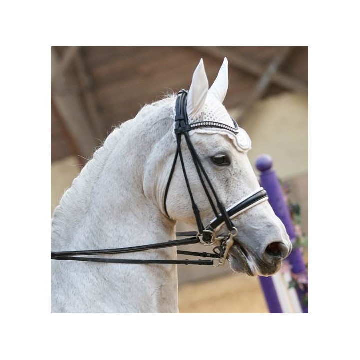 Gebissloser Zaum T de T Ribera