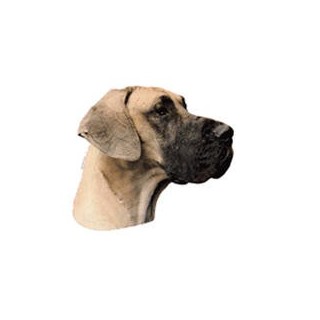 Kleine Aufkleber 4er Packung