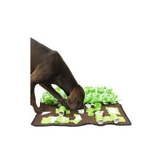 Procyon Multi-Schnüffelwiese