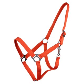 Halfter mit Schiebemechanismus Q-essentials