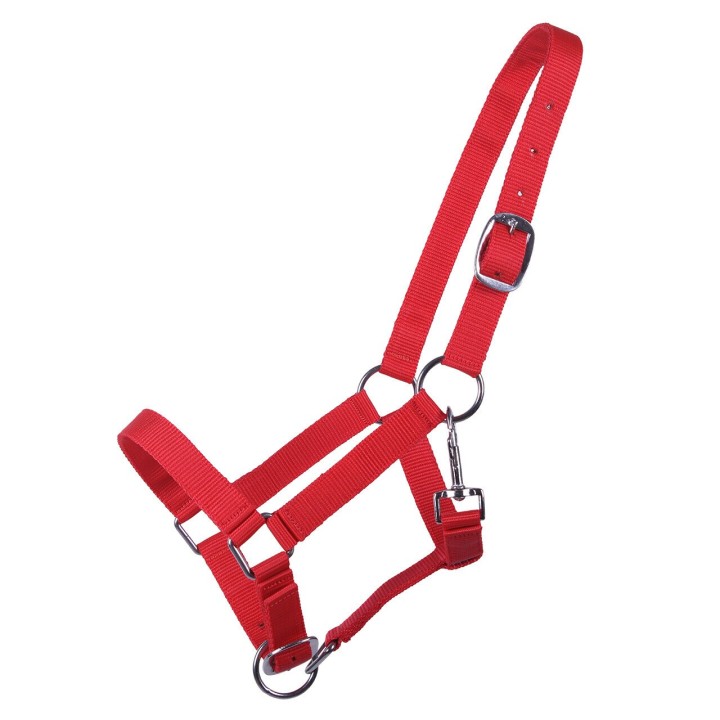 Halfter für Fohlen Q-essentials Yearling