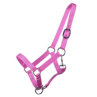 Halfter für Fohlen Q-essentials Yearling