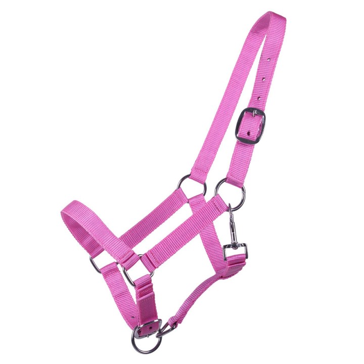 Halfter für Fohlen Q-essentials Yearling