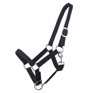 Halfter für Fohlen Q-essentials Yearling