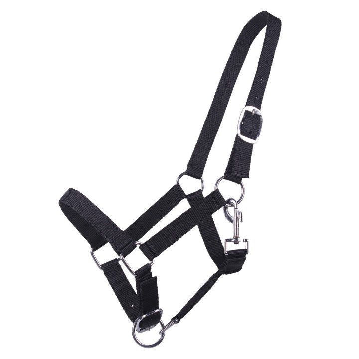 Halfter für Fohlen Q-essentials Yearling