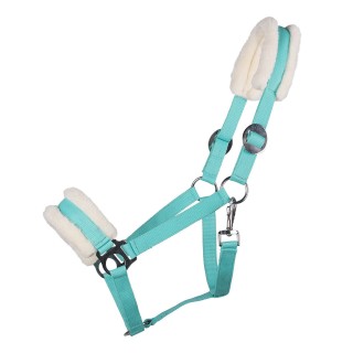 Halfter Q-essentials Cali