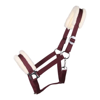 Halfter Q-essentials Cali