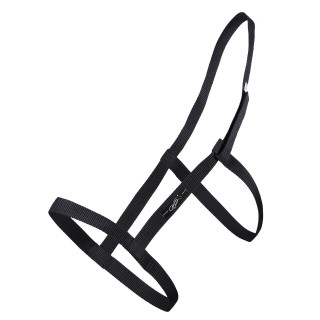 Halfter Q-essentials Field