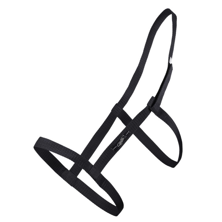 Halfter Q-essentials Field