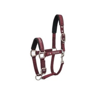 Halfter Equiline Timmy