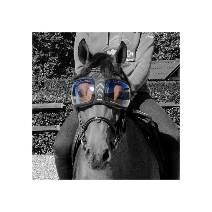 Ersatzgläser Brille Pferd eQuick eVysor