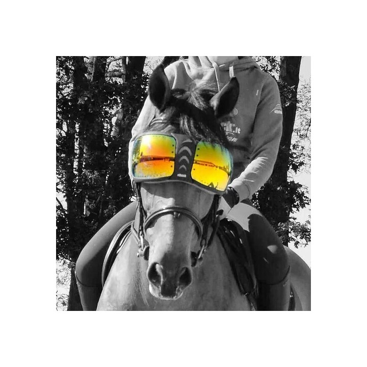 Ersatzgläser Brille Pferd eQuick eVysor