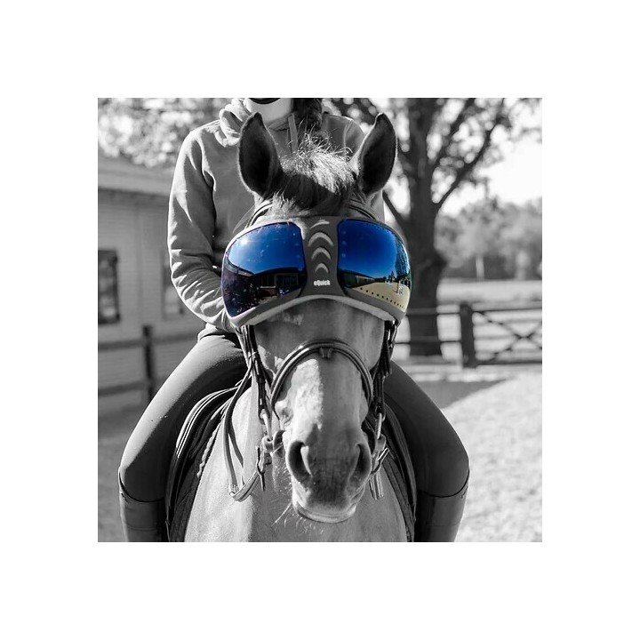 Ersatzgläser Brille Pferd eQuick eVysor