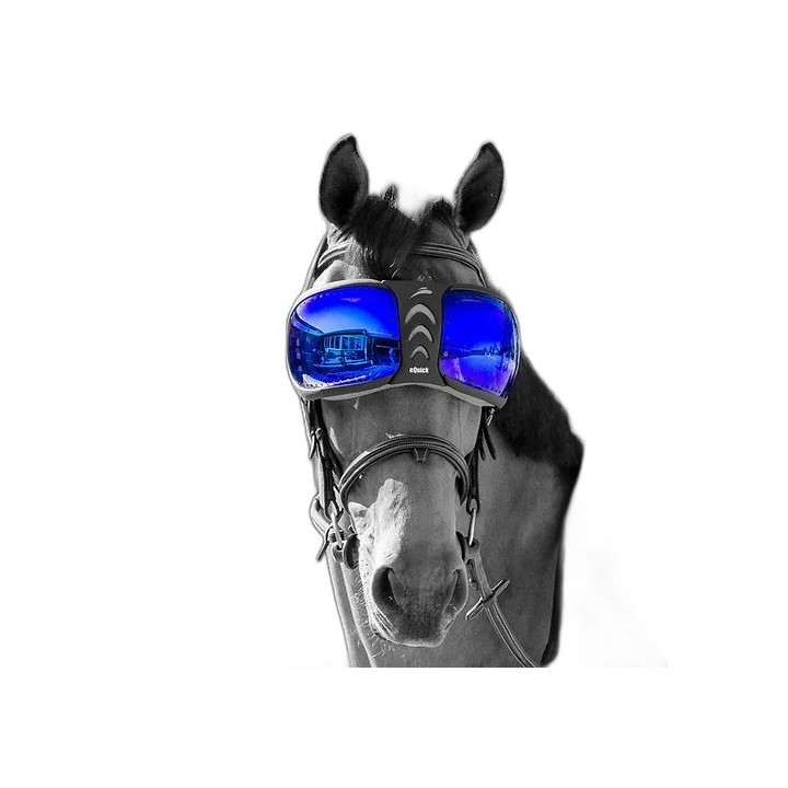 Ersatzgläser Brille Pferd eQuick eVysor