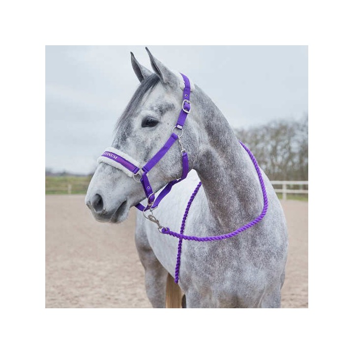 Longe mit Karabinerhaken für Pferde Horze Howard