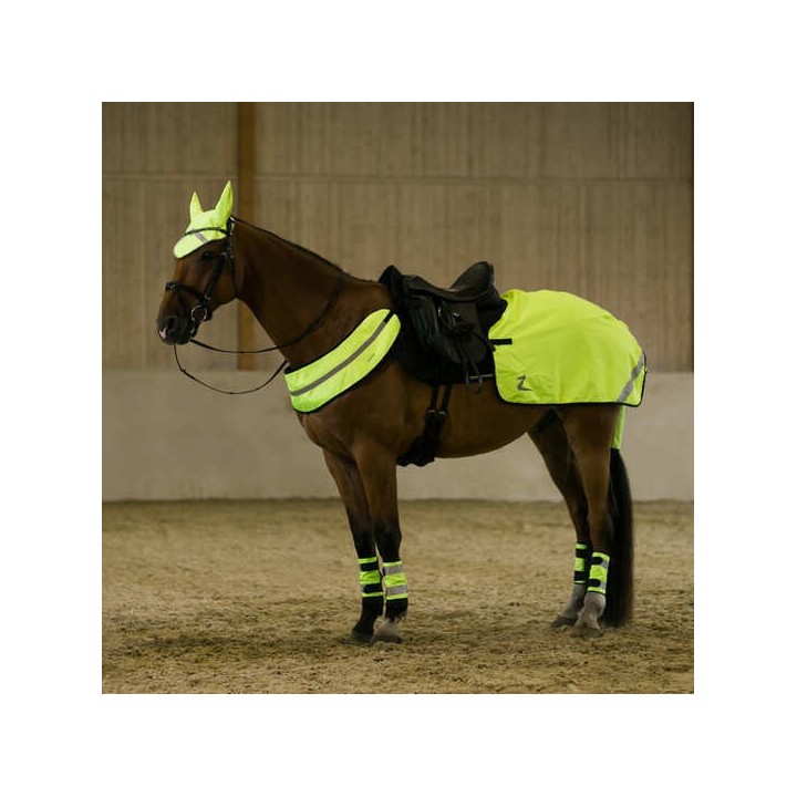 Reflektierendes Geschirr für Pferde Horze