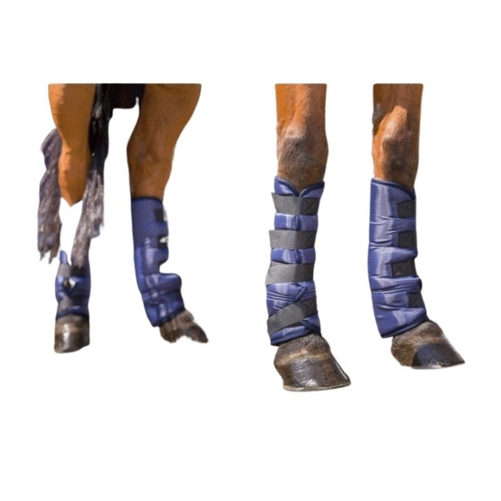 Transportgamaschen für Pferde, Riding World