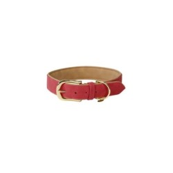 Hundehalsband aus veganem Leder Kentucky