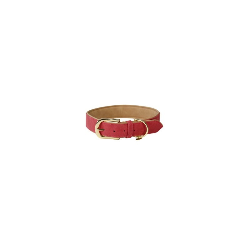 Hundehalsband aus veganem Leder Kentucky