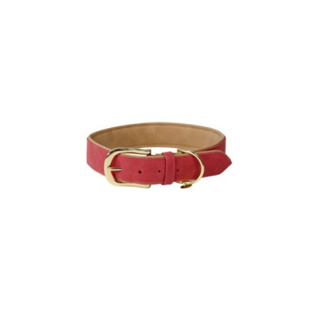 Hundehalsband aus veganem Leder Kentucky