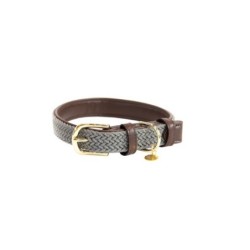 Geflochtenes Nylon-Halsband für Hunde Kentucky