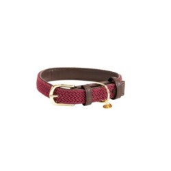 Geflochtenes Nylon-Halsband für Hunde Kentucky