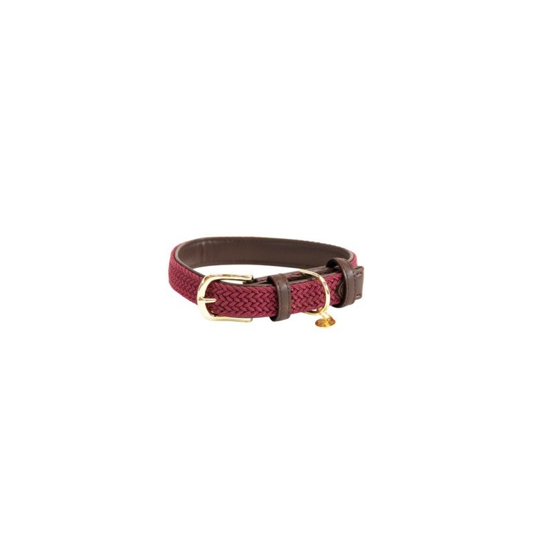 Geflochtenes Nylon-Halsband für Hunde Kentucky