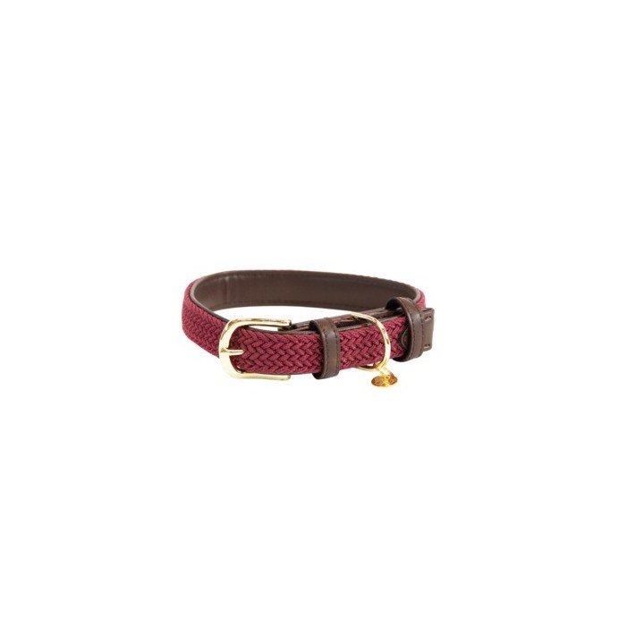 Geflochtenes Nylon-Halsband für Hunde Kentucky